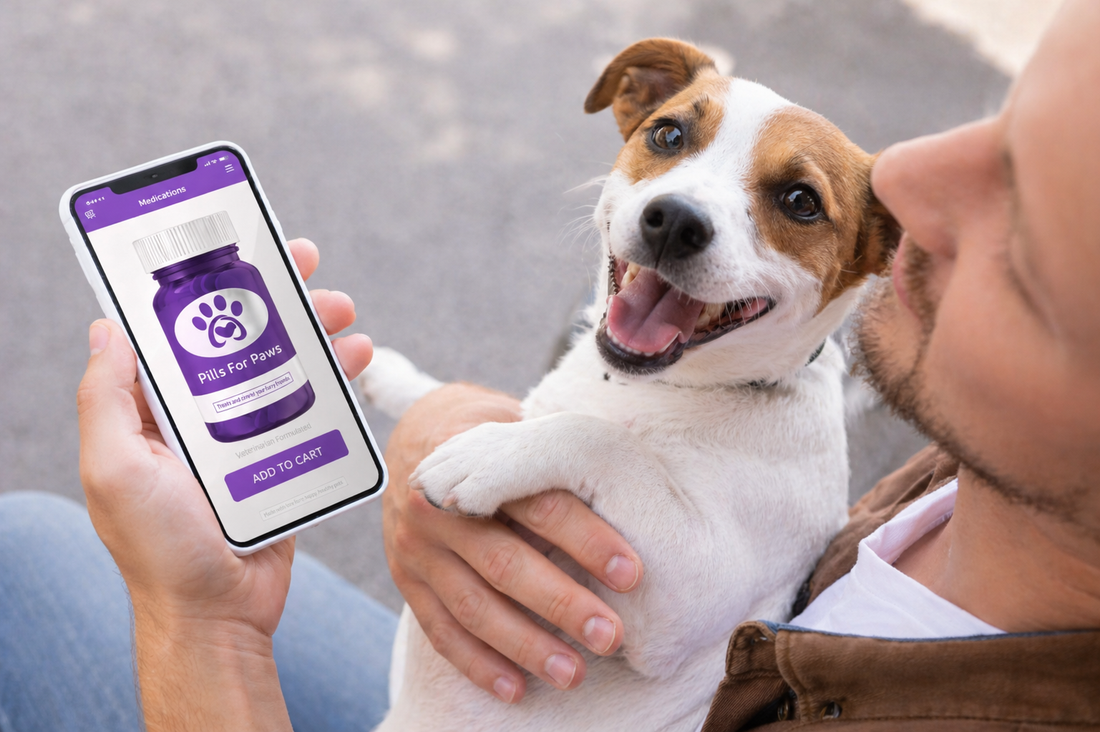 The Smart Owner's Guide to Discount Pet Meds