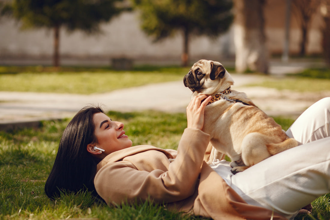 Caninsulin for Dogs: Diabetes Dos & Don'ts